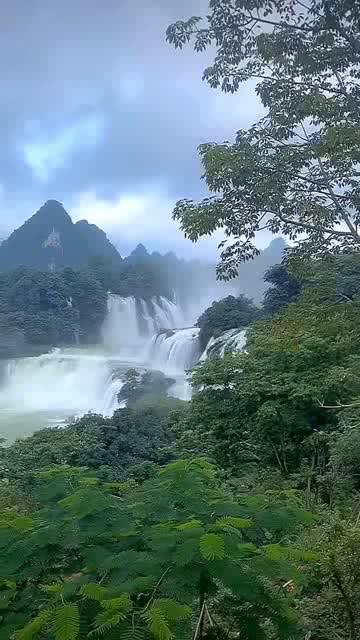 菲律宾央行行长:不太可能在上半年放松货币政策