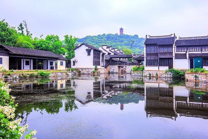 春节后全面开展工作，全国首家公益性的“运动马匹诊疗流动站”在广东成立！